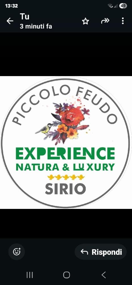 Suite siriana