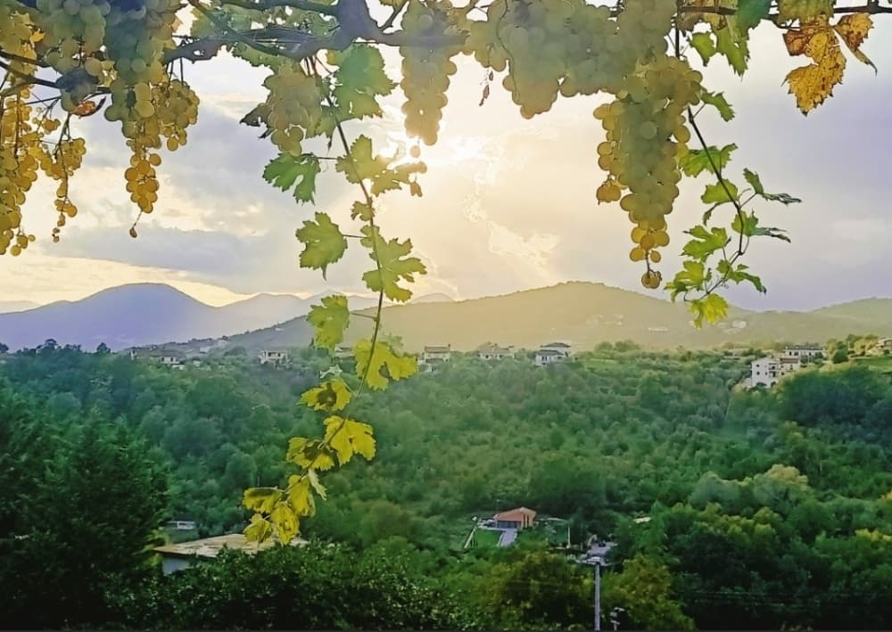 La Finestra sul Borgo